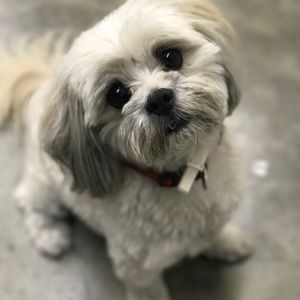 Meet your Posher, Charles